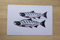 Haida Spawning Sockeye Salmon by Clarence Mills Haida Artist 6"x9" art card