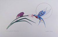 Hummingbird and Butterfly by Richard Shorty Northern Tutchone Yukon Artist 6"x9" Art Card