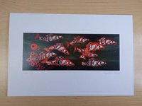 Follow Me Spawning Salmon by Richard Shorty Northern Tutchone Yukon Artist 6"x9" Art Card