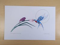 Hummingbird and Butterfly by Richard Shorty Northern Tutchone Yukon Artist 6"x9" Art Card