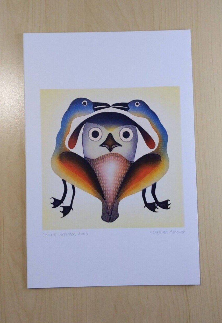 Curious Intruder by Kenojuak Ashevak Inuit Artist 6"x9" Art Card
