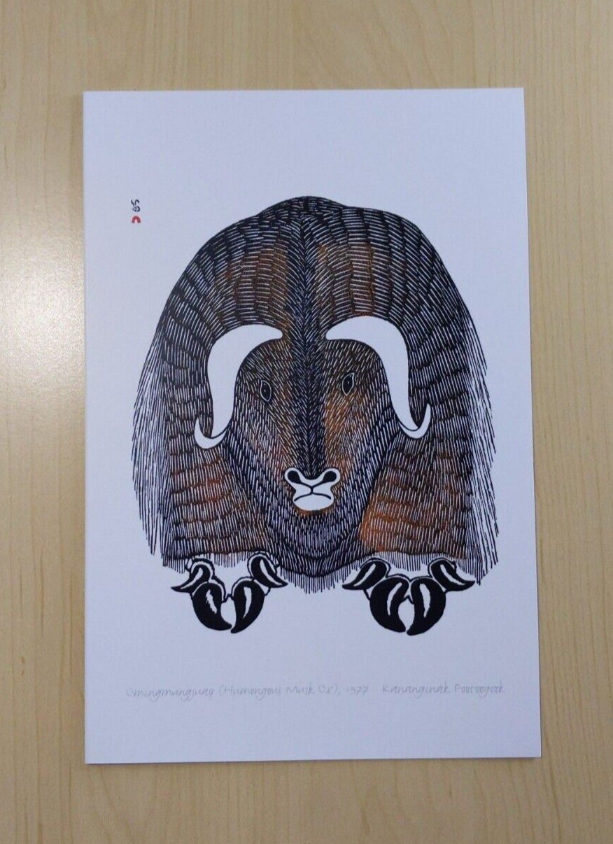 Humongous Musk Ox Omingmungjuaq by Kananginak Pootoogook Inuit Artist 6"x9" Art Card