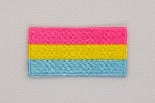 Pansexual LGBT Pride Flag Patch Embroidered Iron On Badge Applique C/P