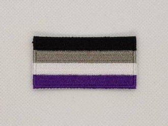 Asexual LGBT Pride Flag Patch Embroidered Iron On Badge Applique C/P
