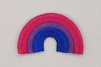 Bisexual Bi Rainbow LGBT Pride Patch Embroidered Iron On Badge Applique C/P