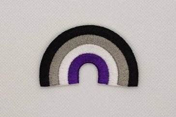 Asexual Rainbow LGBT Pride Patch Embroidered Iron On Badge Applique C/P