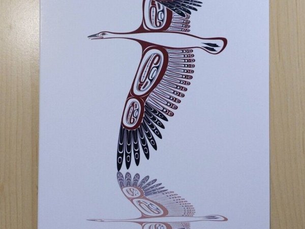 Snow Goose by Todd Baker Coast Salish Artist 6"x9" Art Card